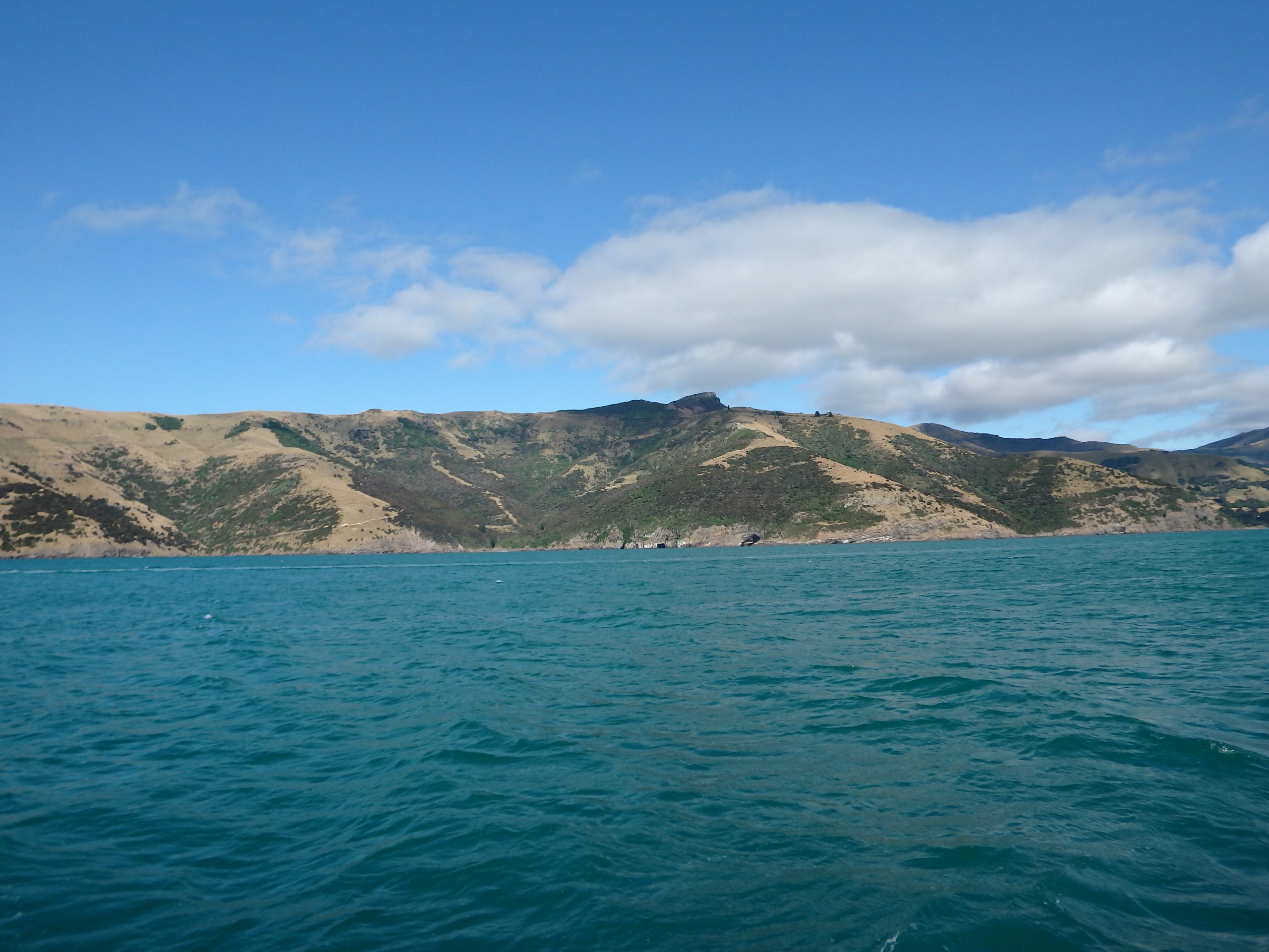Akaroa