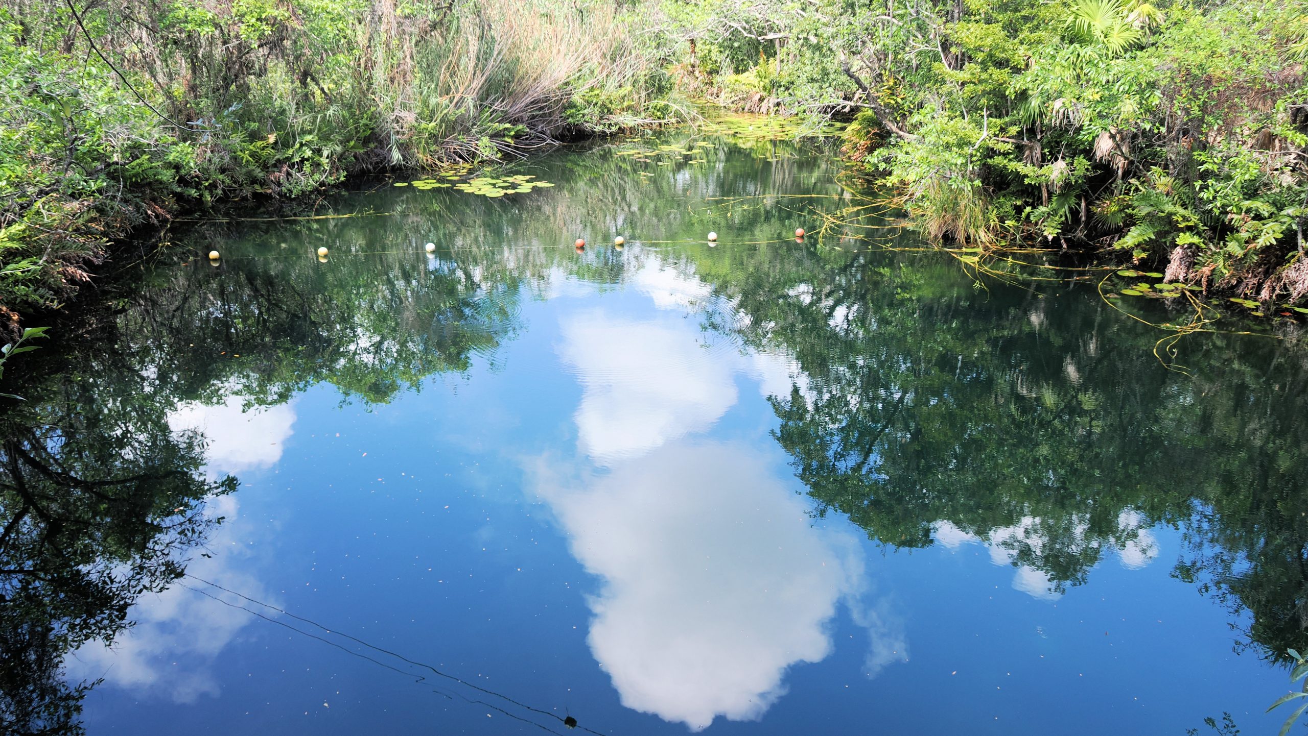 Mayan Cenote Sanctuary