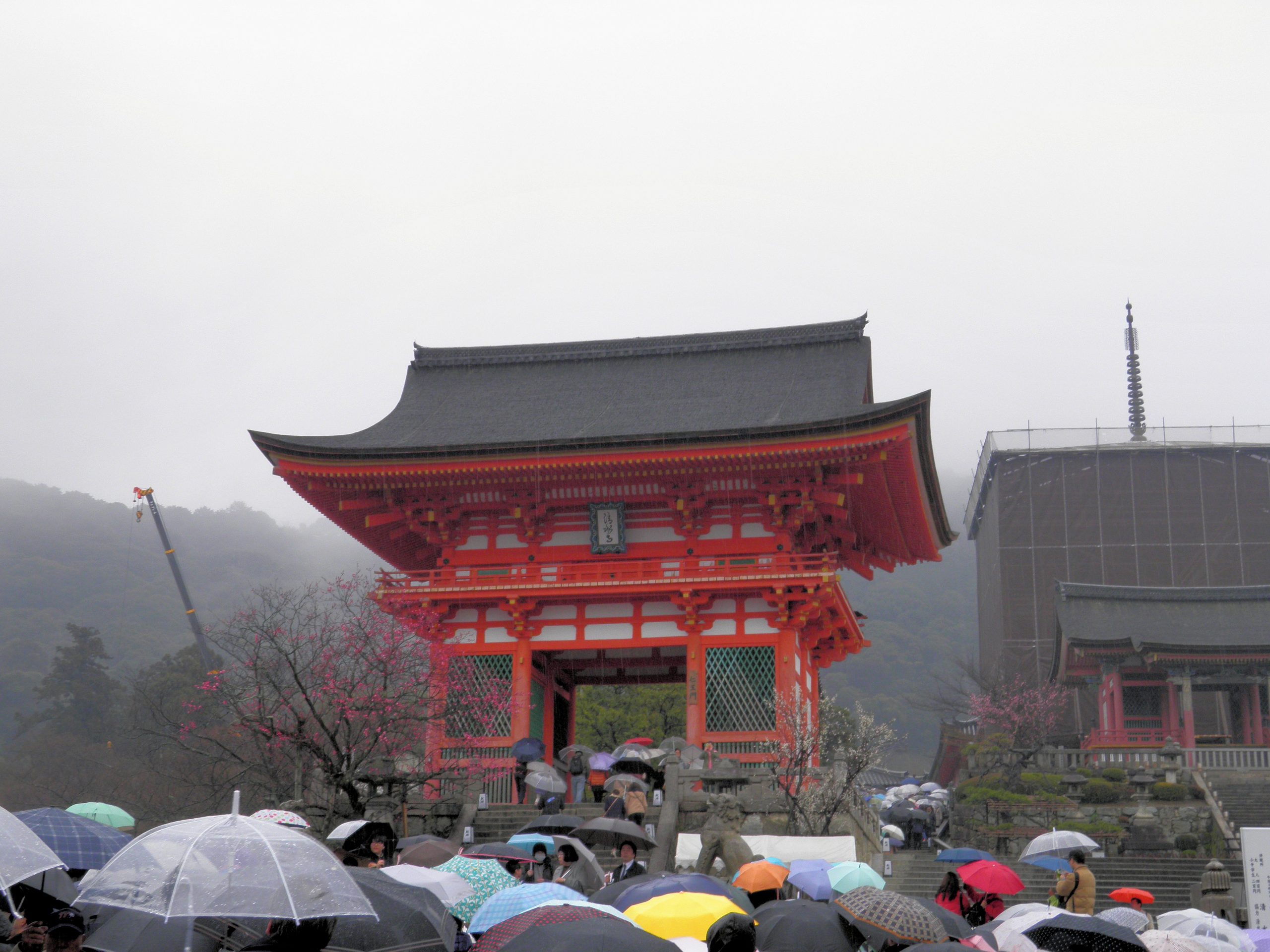 Japan - 1