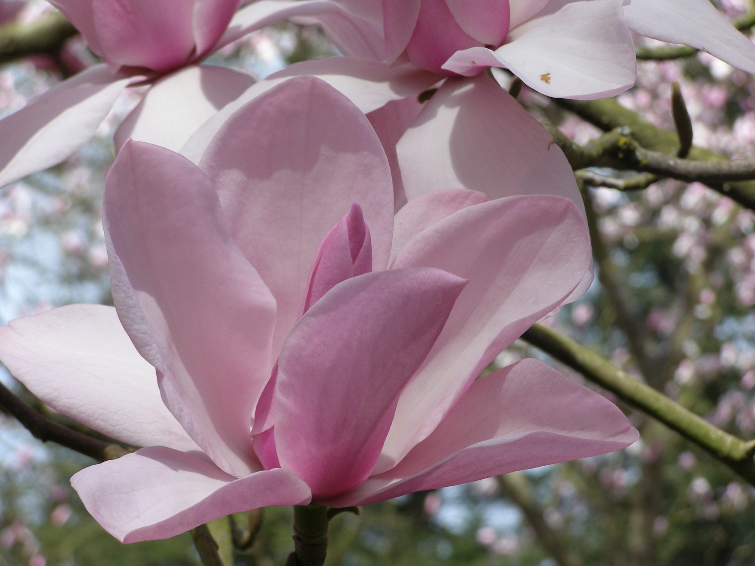 April 2010 in Windsor Park