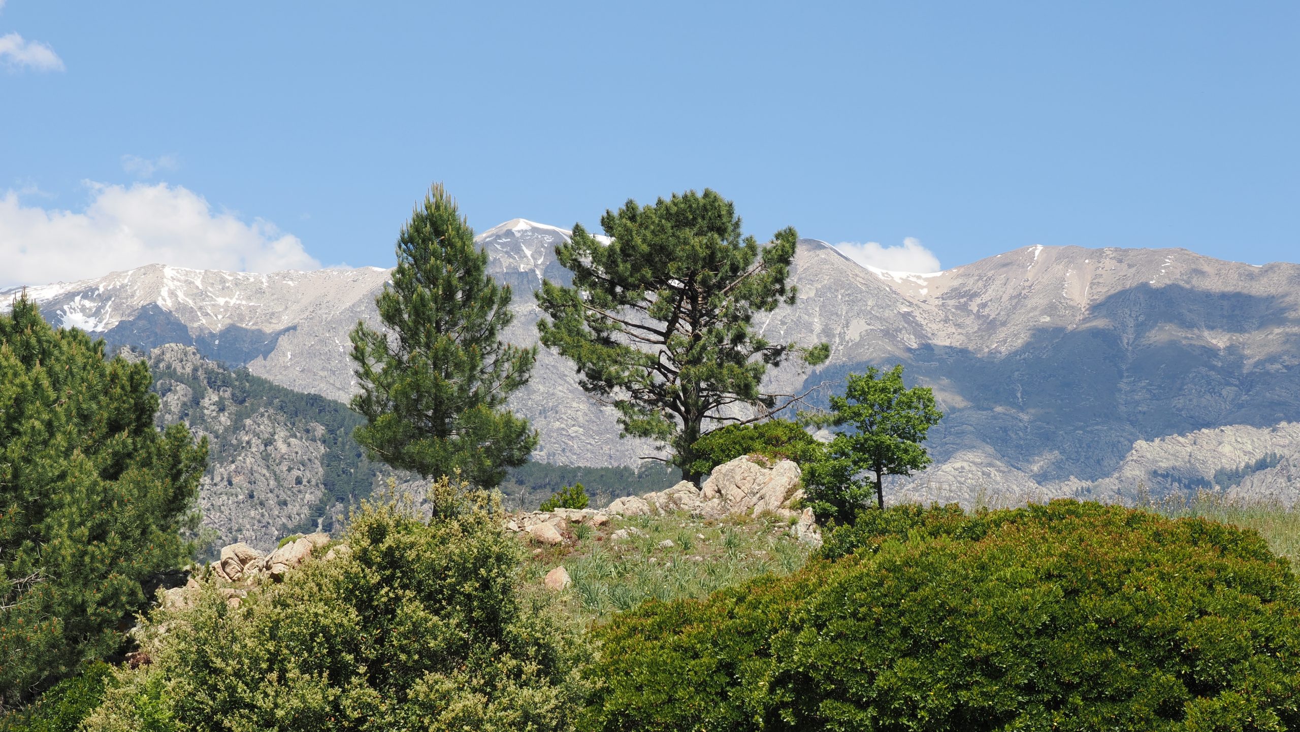 Corsica-Ajaccio