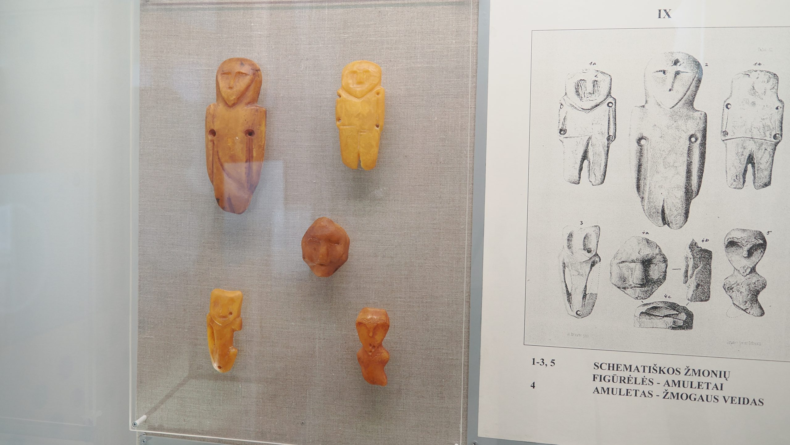 Klaipeda, Palanga, Amber Museum -2