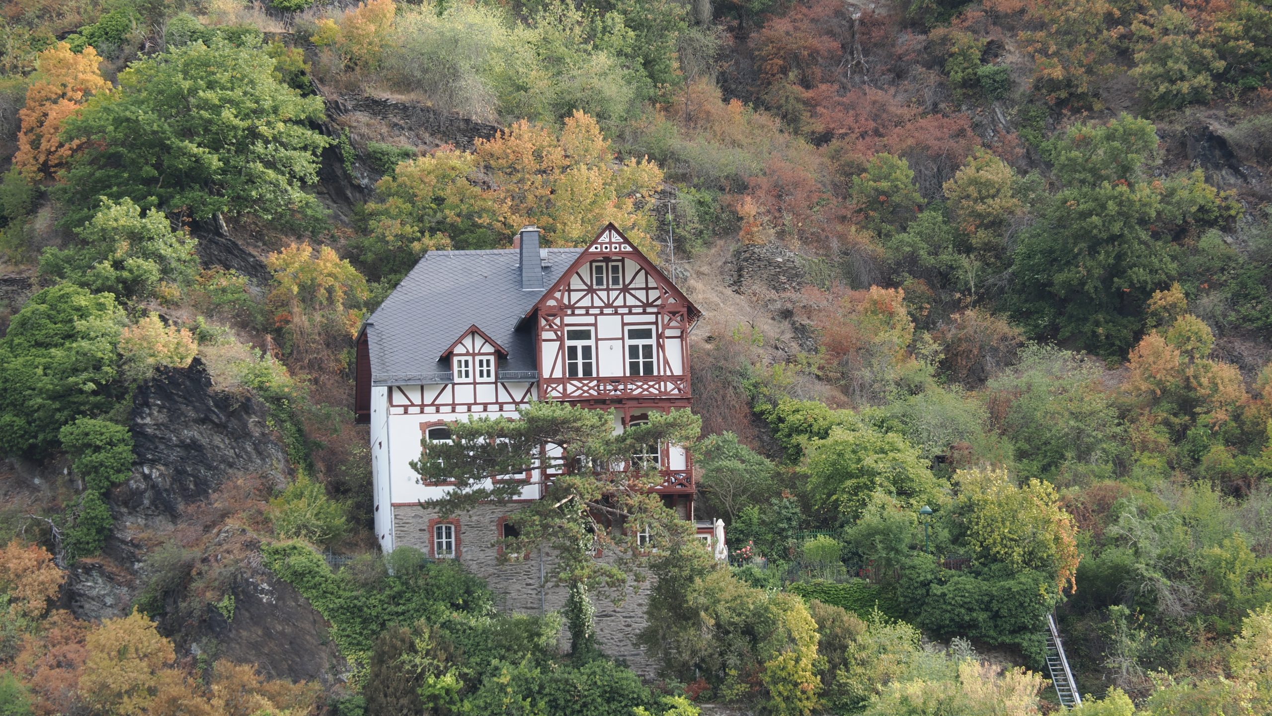 Rudesheim Rhine River