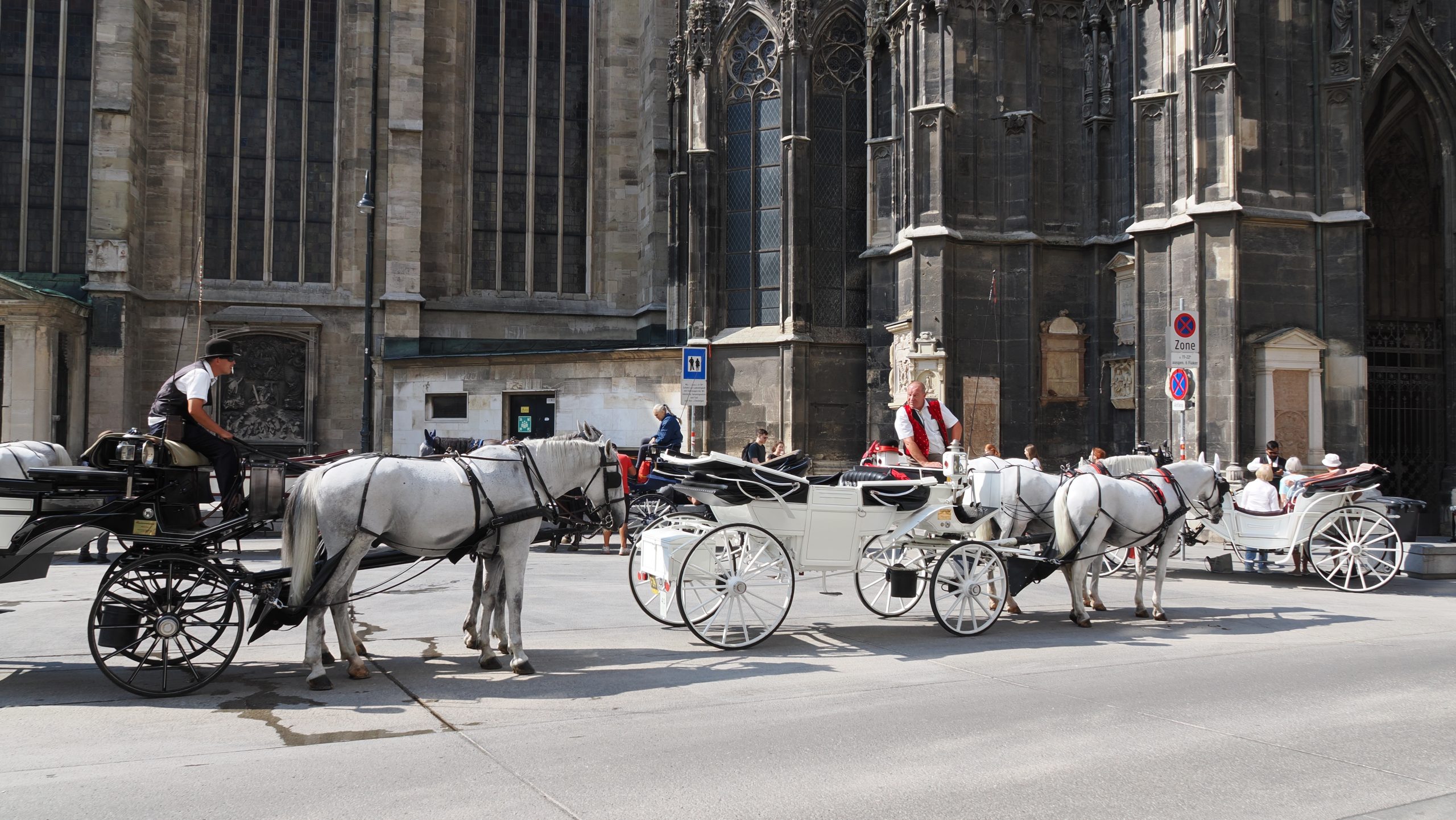 Vienna-2