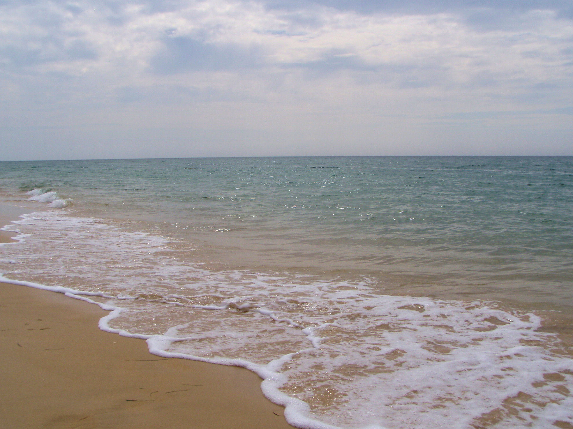 Beaches