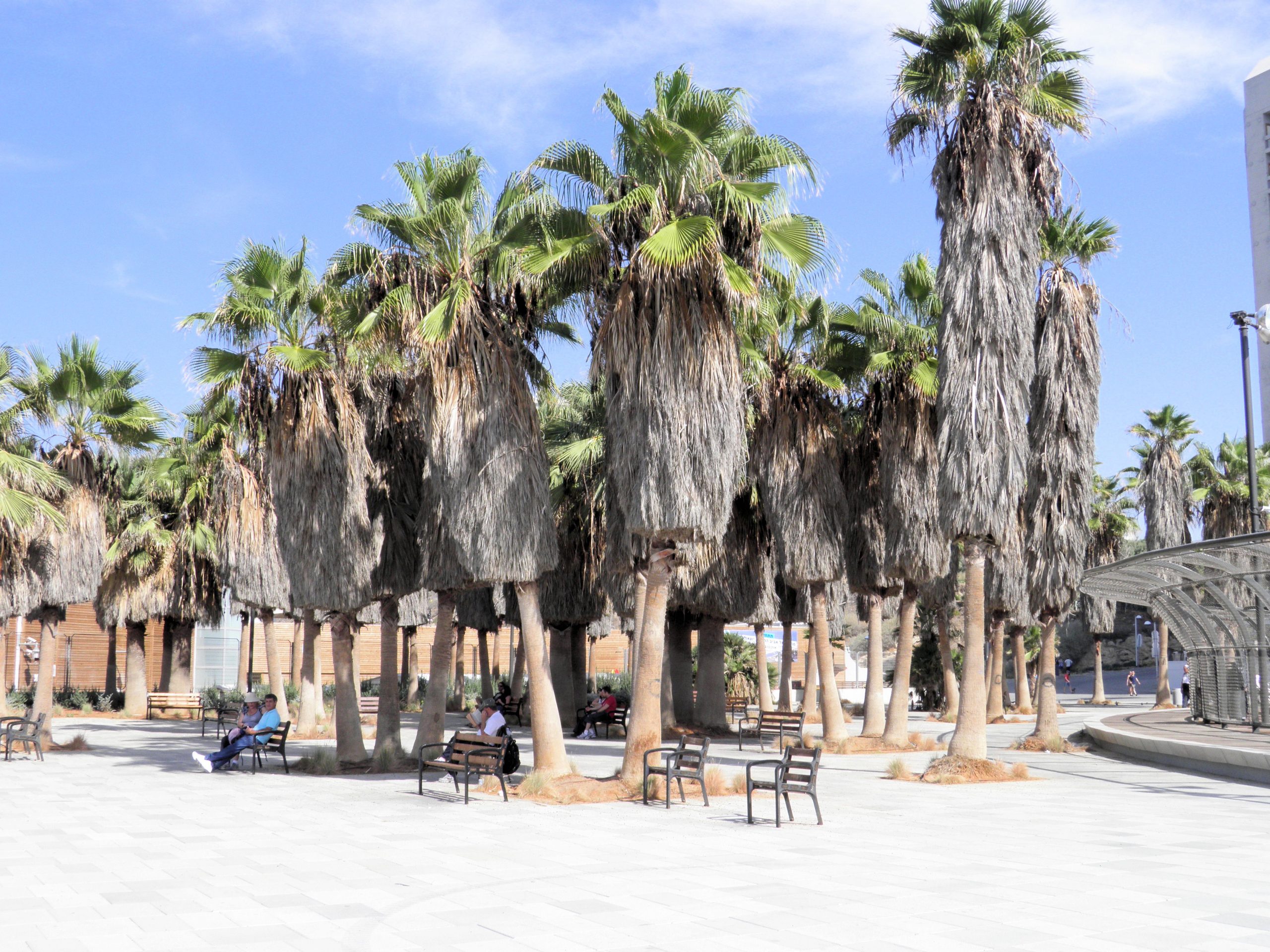 Bat-Yam