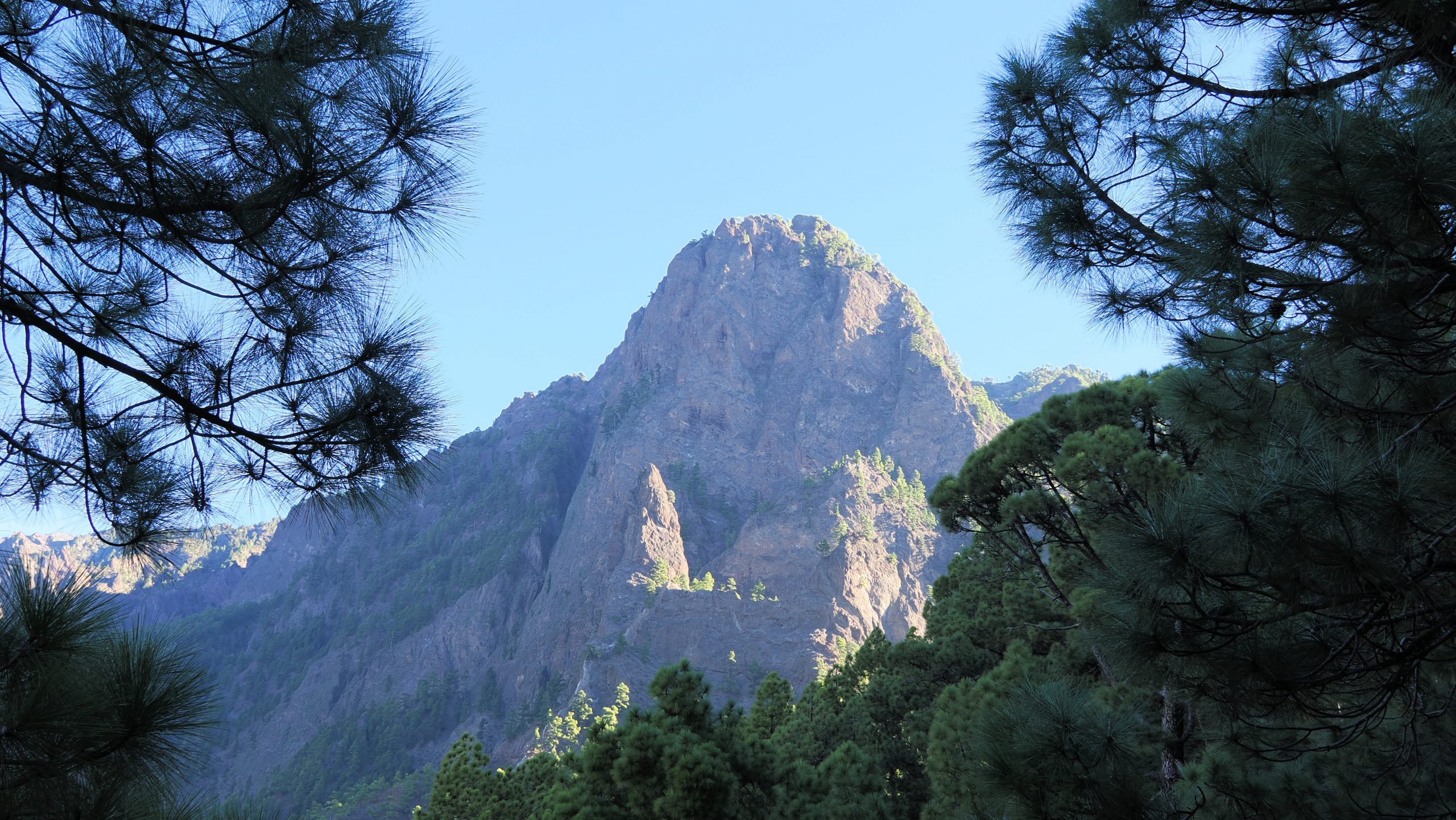 La Palma - 1
